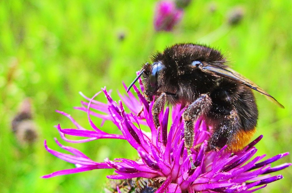 Photograph by Ольга Вячеславовна