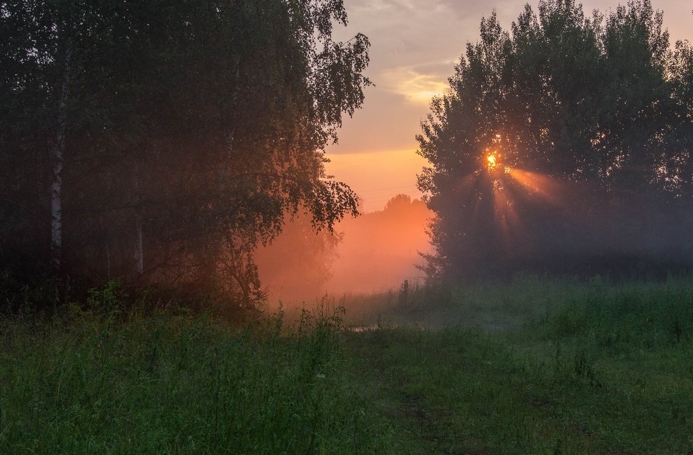 Photograph by Stream