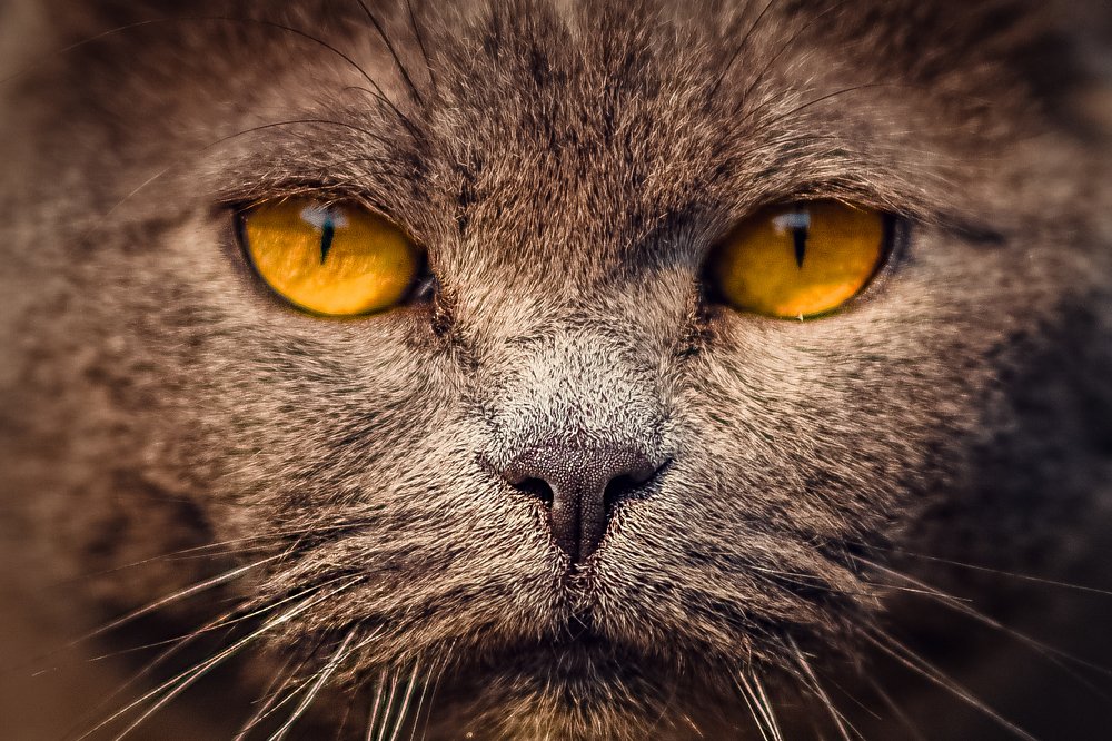 Photograph by Елена Баштовая