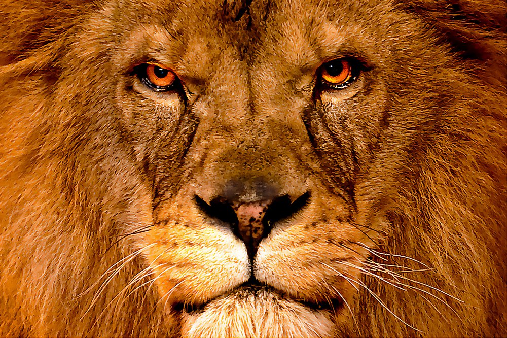 Photograph by Klaus Tesching