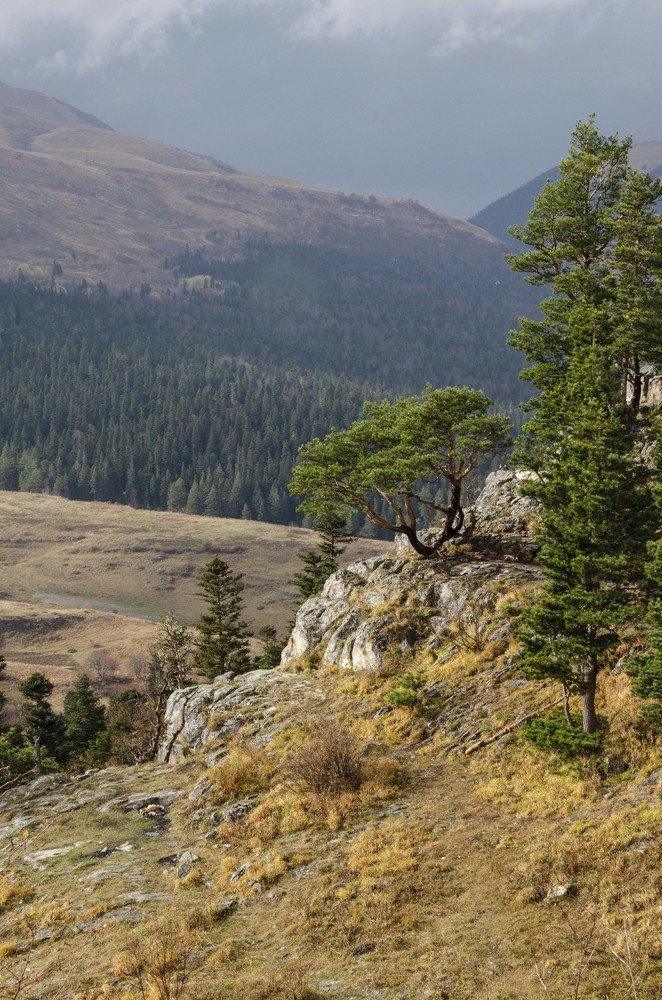 Photograph by Рената Митрова