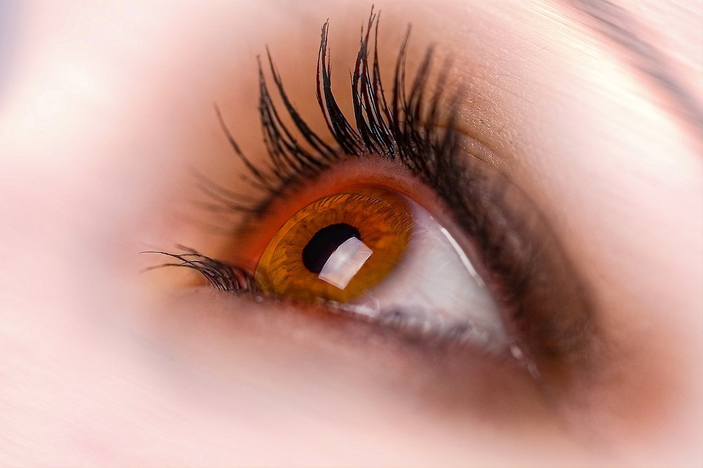 Photograph by Klaus Tesching