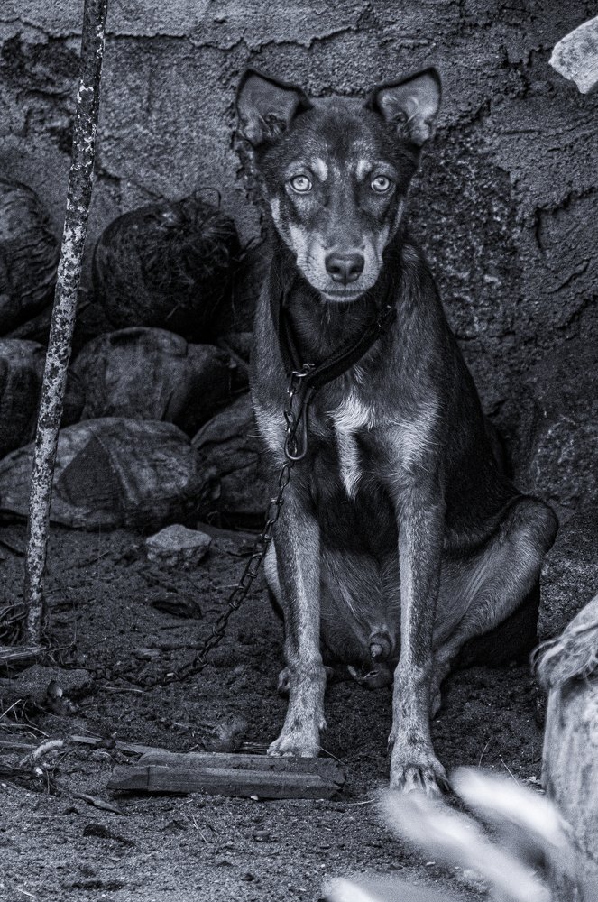 Photograph by THANUSSANTH THARMAPALAN