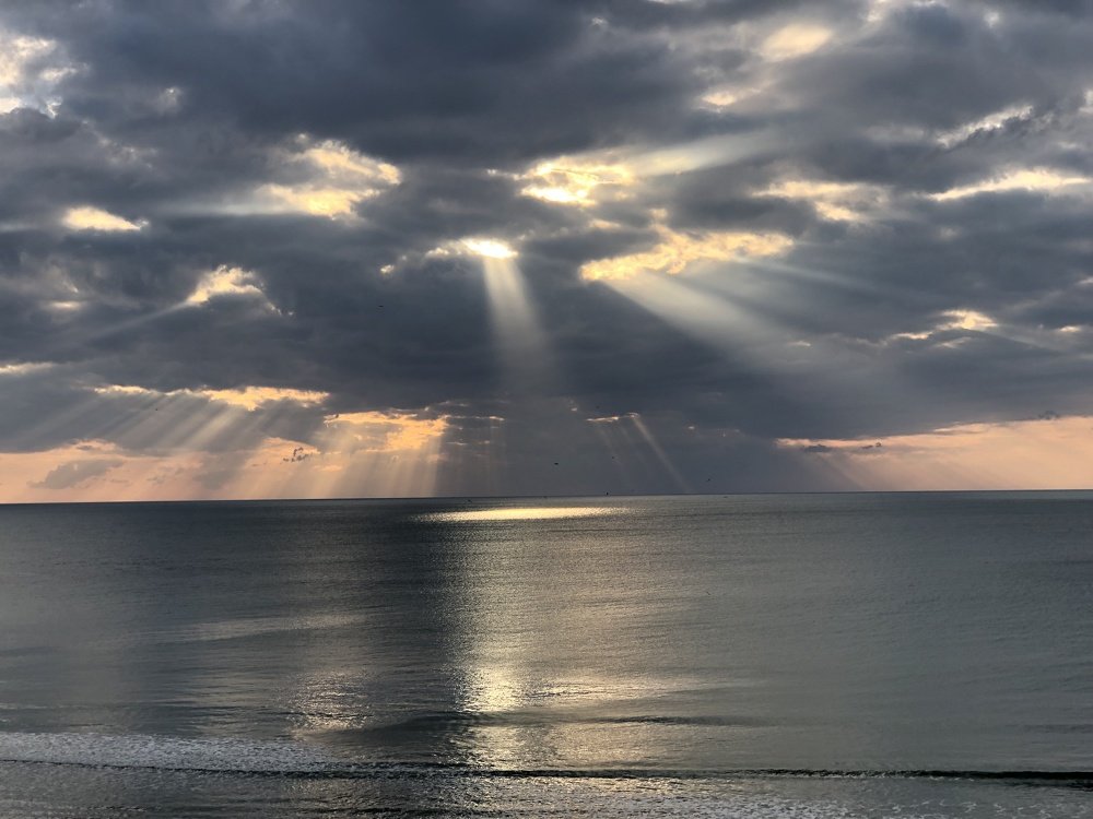 Photograph by ROSARIO MONTAÑO