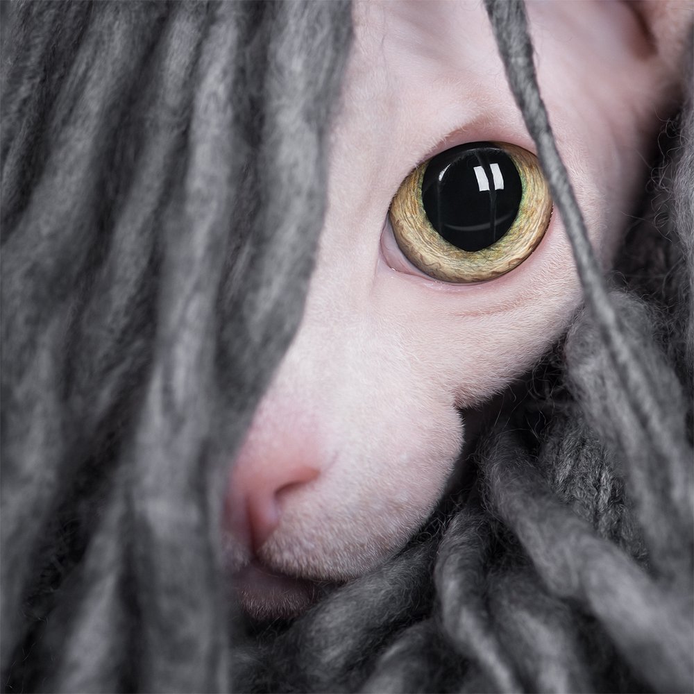 Photograph by Татьяна Полякова