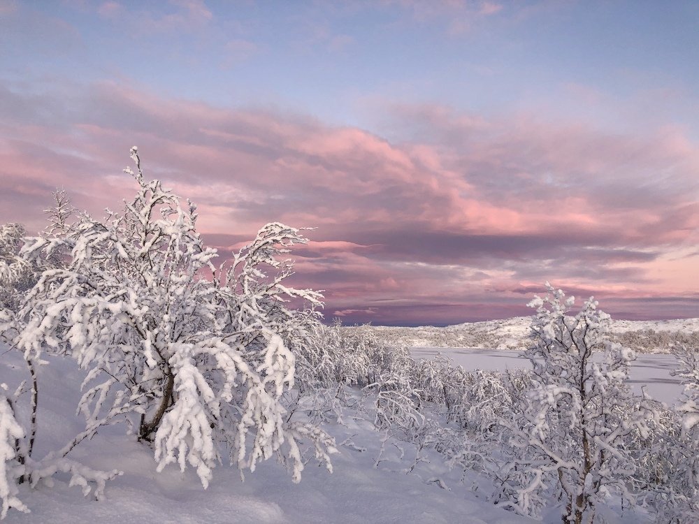 Photograph by Оксана Шеховцова