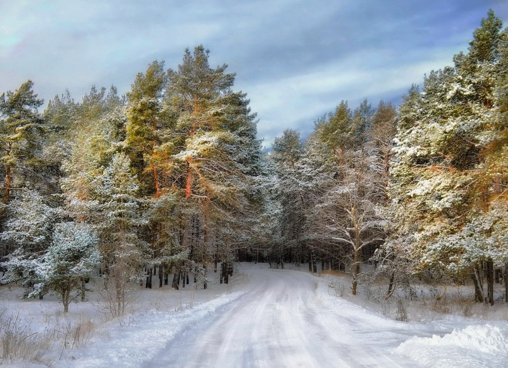 Дорога в Зимнюю сказку