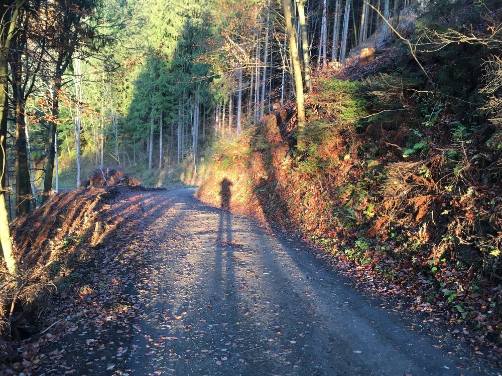 Photograph by Davorin Poki Simona