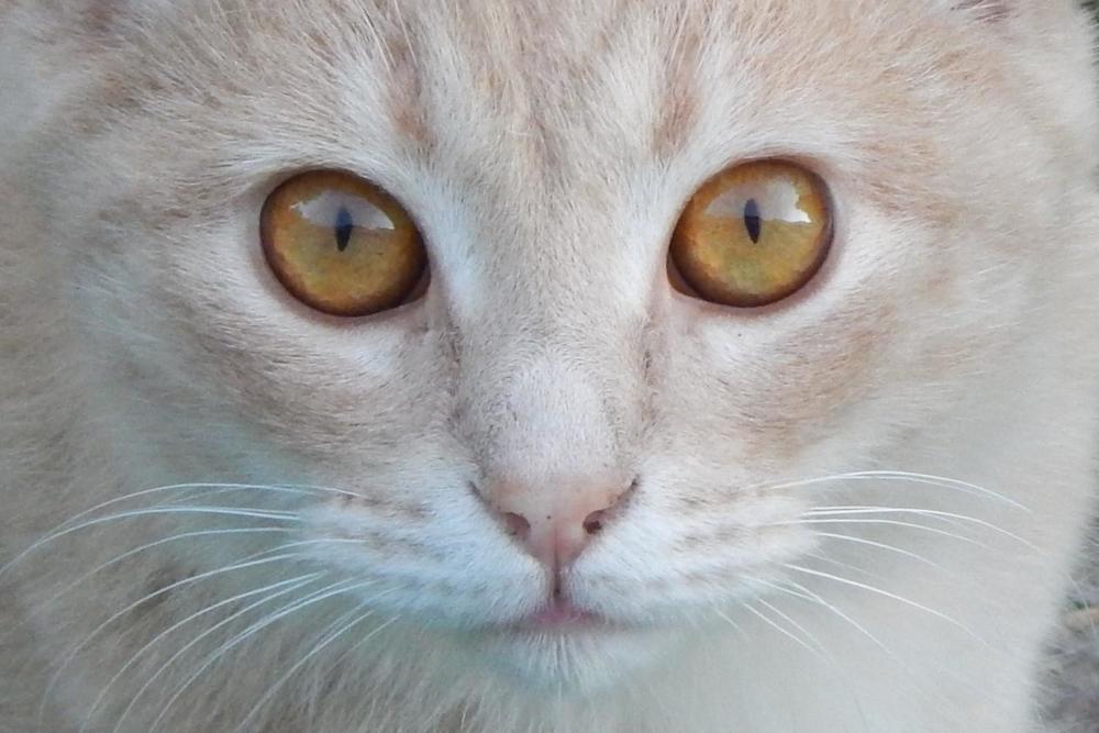 Photograph by Ирина Самойленко