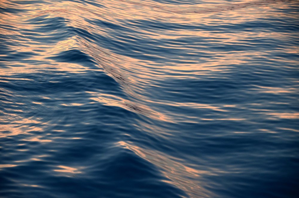 Photograph by Светлана Семенова