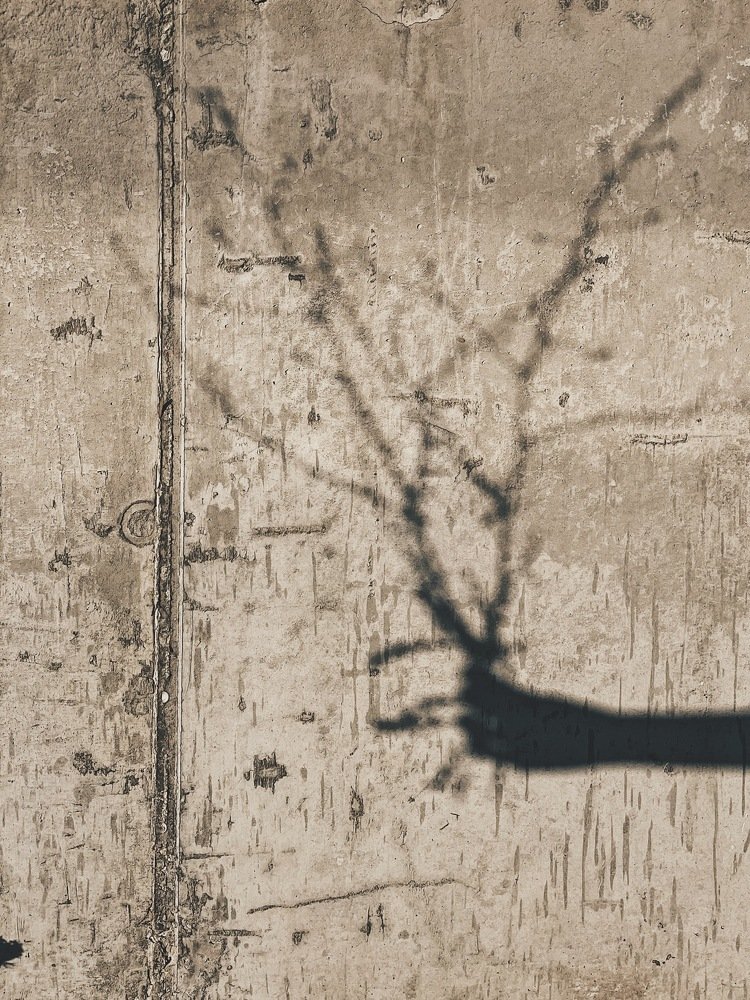 Photograph by Ольга Петухова