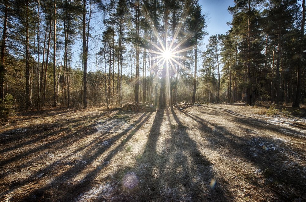 Свет и тень