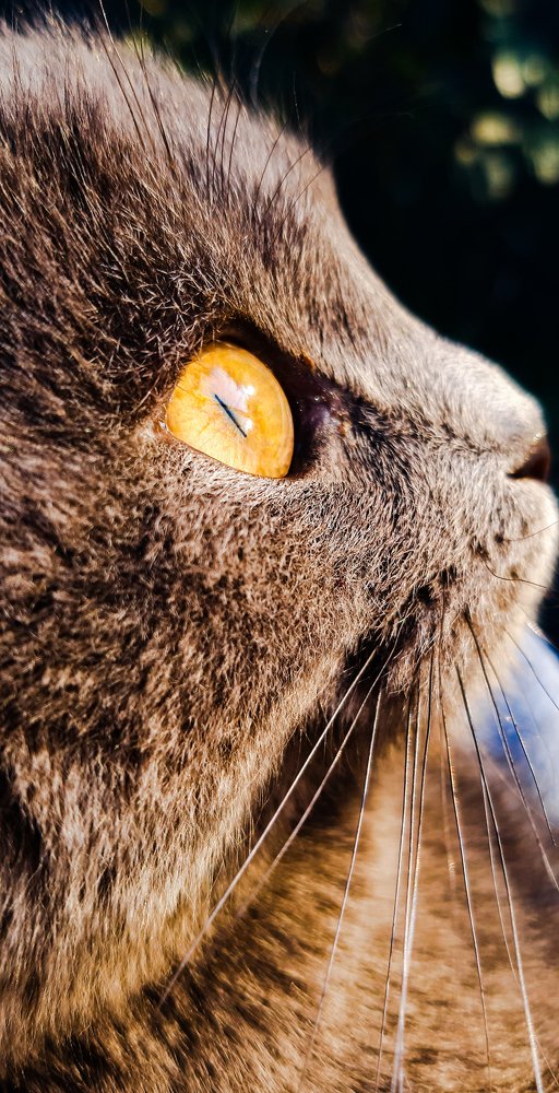 Photograph by Саламбек Ханкушов