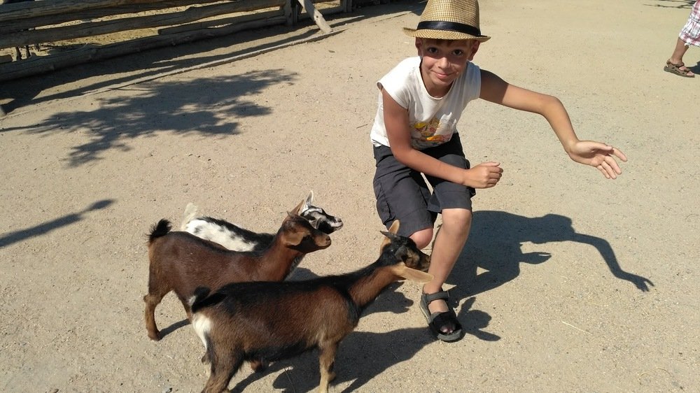 Фотография автора Светлана