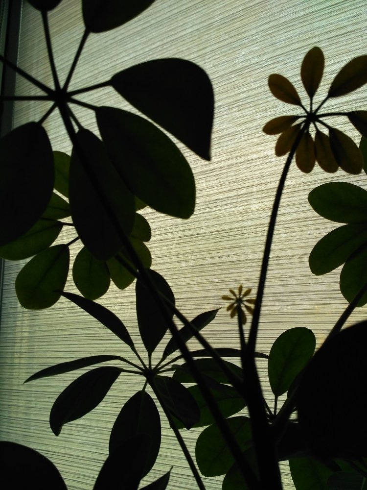 Photograph by Павел Синегубов