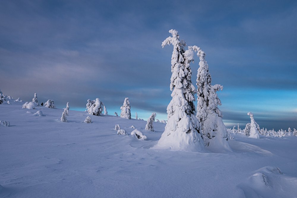 Photograph by Vladimir Koss