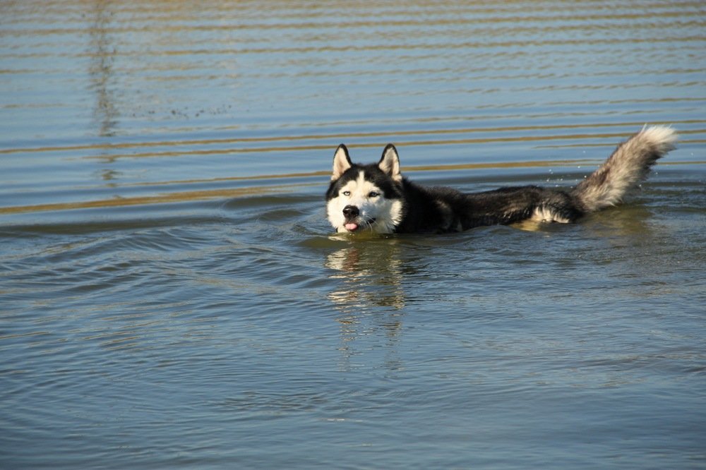 Фотография автора Инна Шикина
