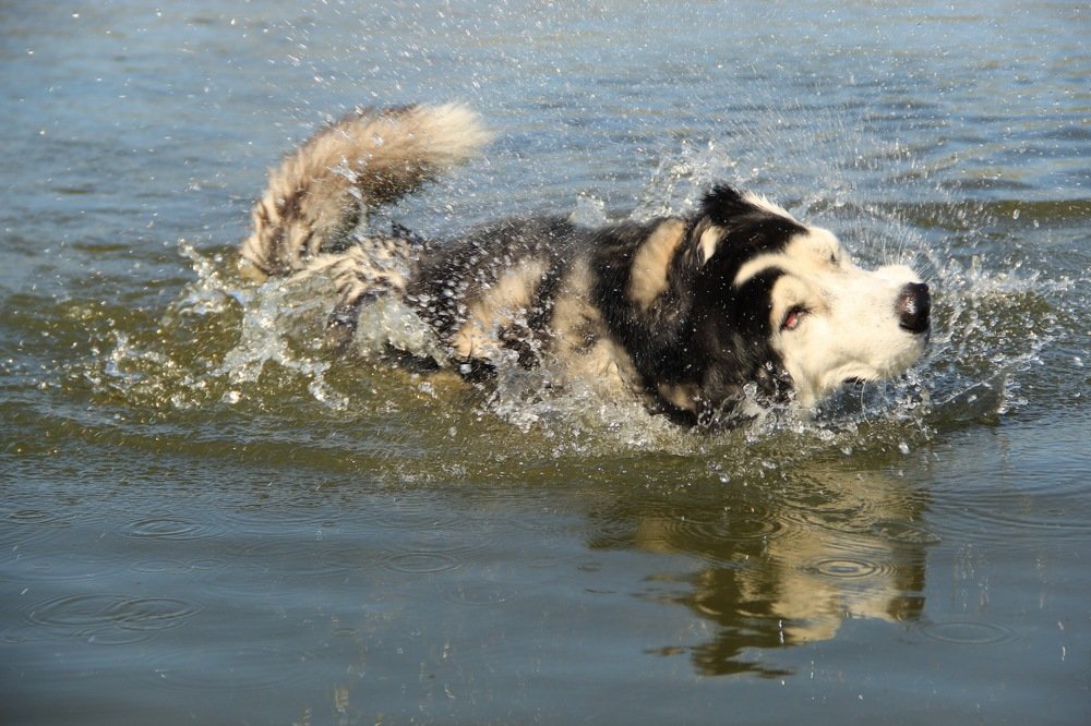 Фотография автора Инна Шикина