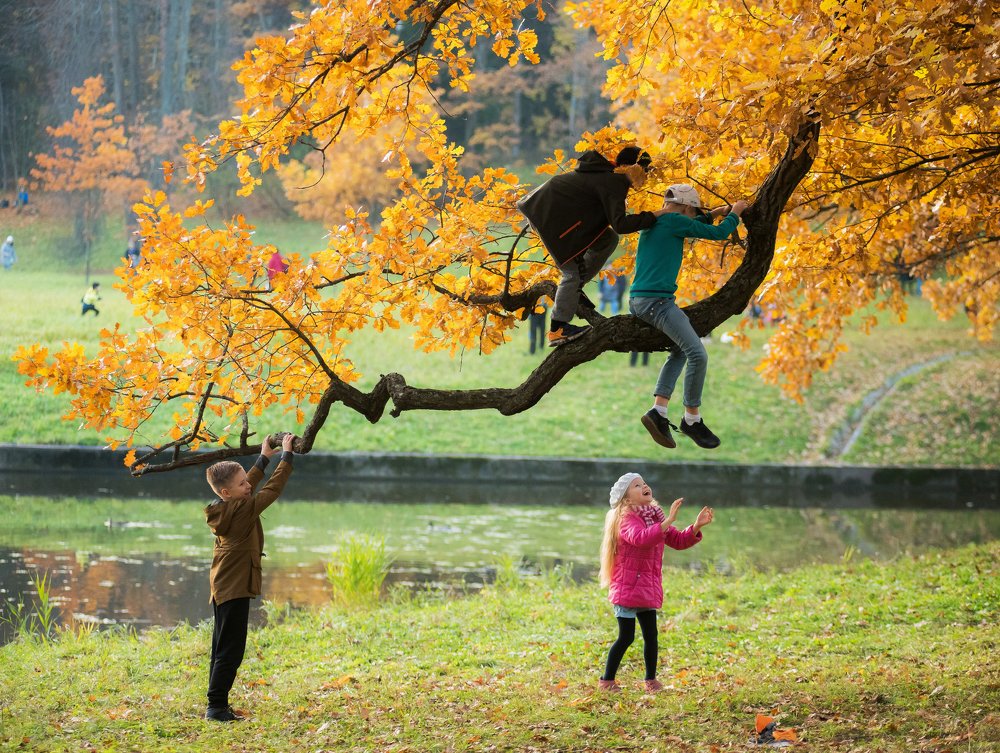 Photograph by Даркина Дарья