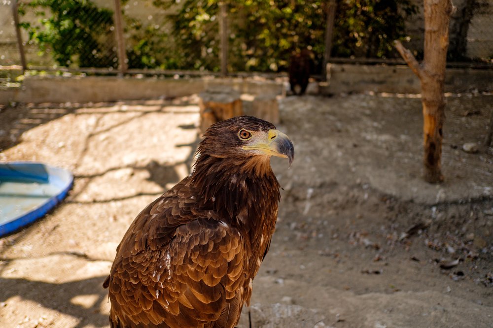 Photograph by Павел Синегубов