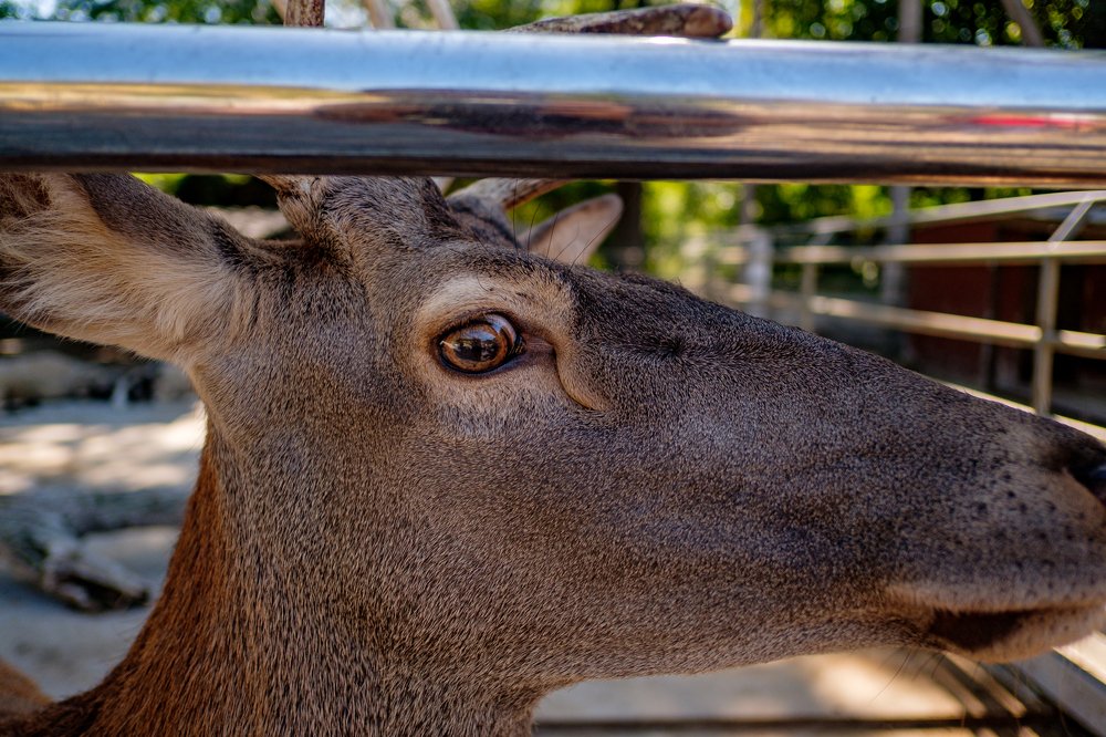 Photograph by Павел Синегубов