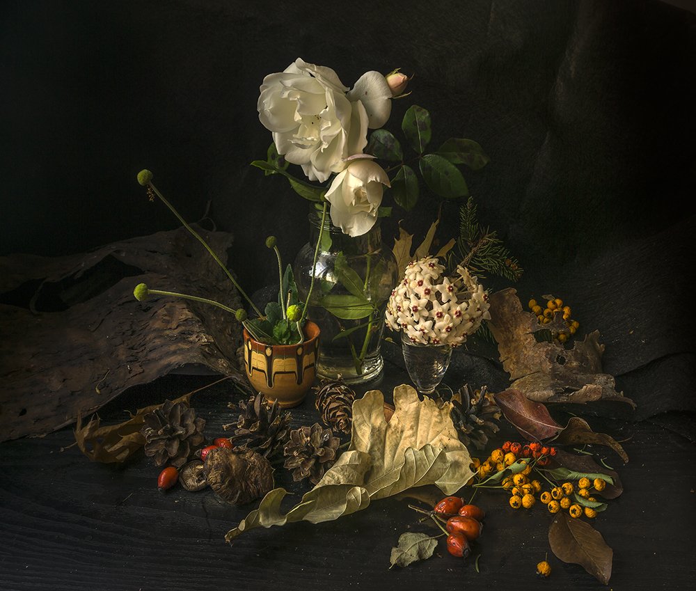 Фотография автора Milena Ivanova