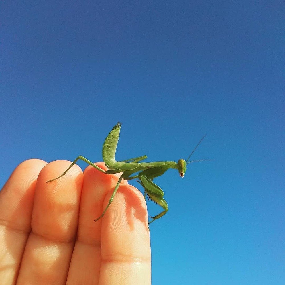 Photograph by Vadim Arutyunov