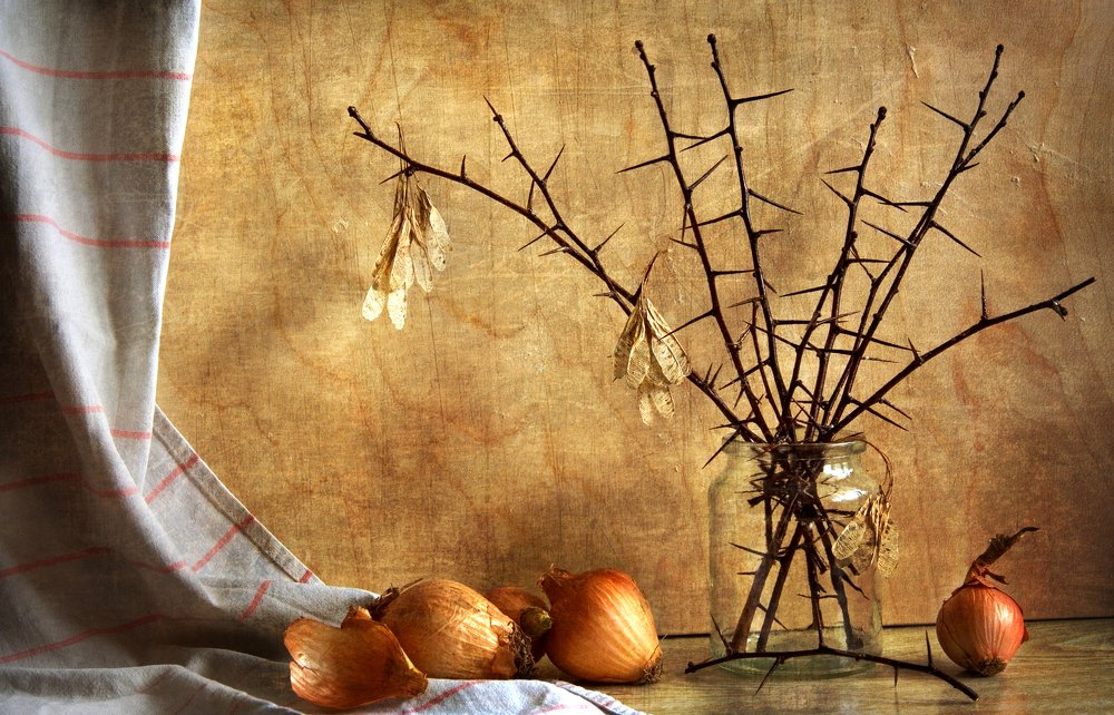 Photograph by Павел Синегубов