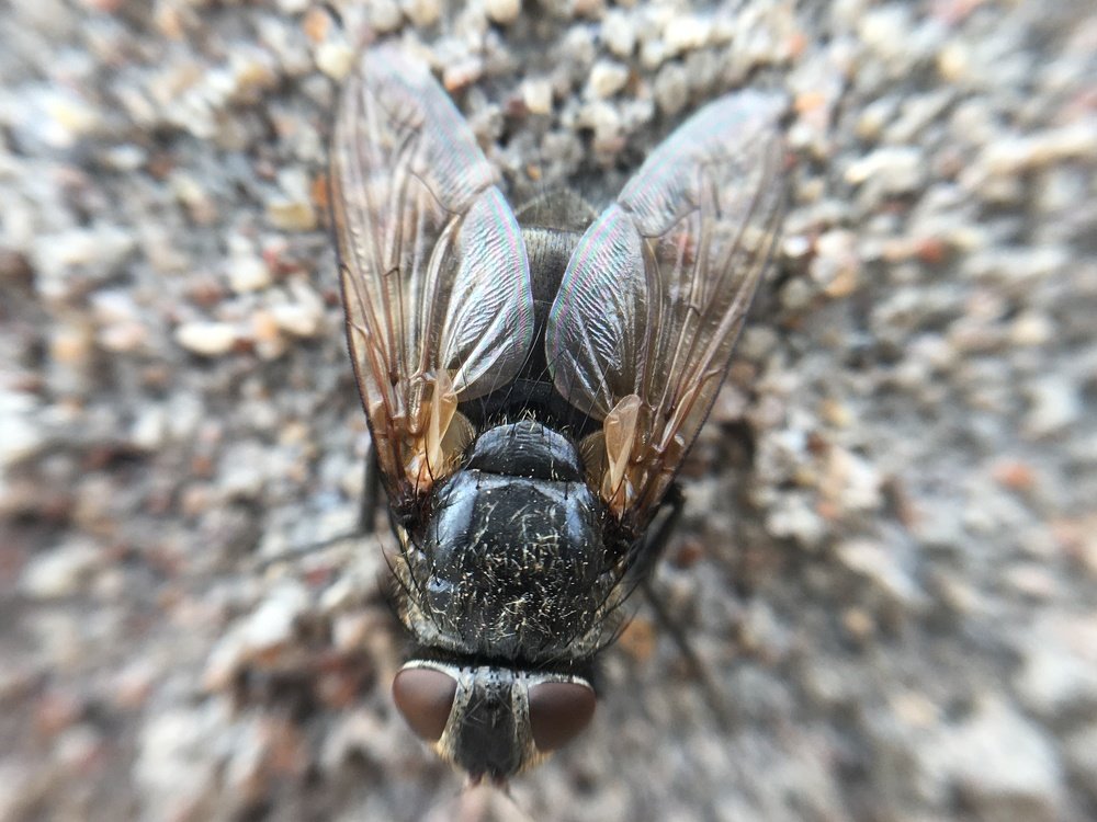 Photograph by Ксения Глубокова