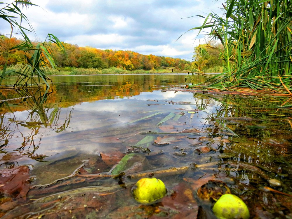 Photograph by София Гавриловна Вотякова