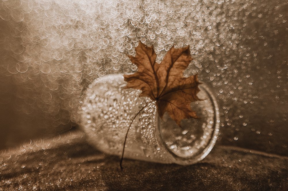 Photograph by Наталья Мищенко