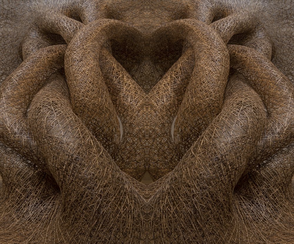 Photograph by mehmet enver karanfil