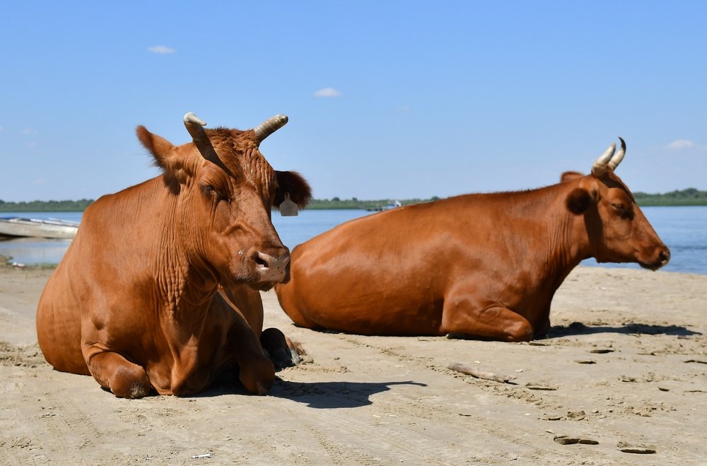 Фотография автора Дмитрий Чуфаров