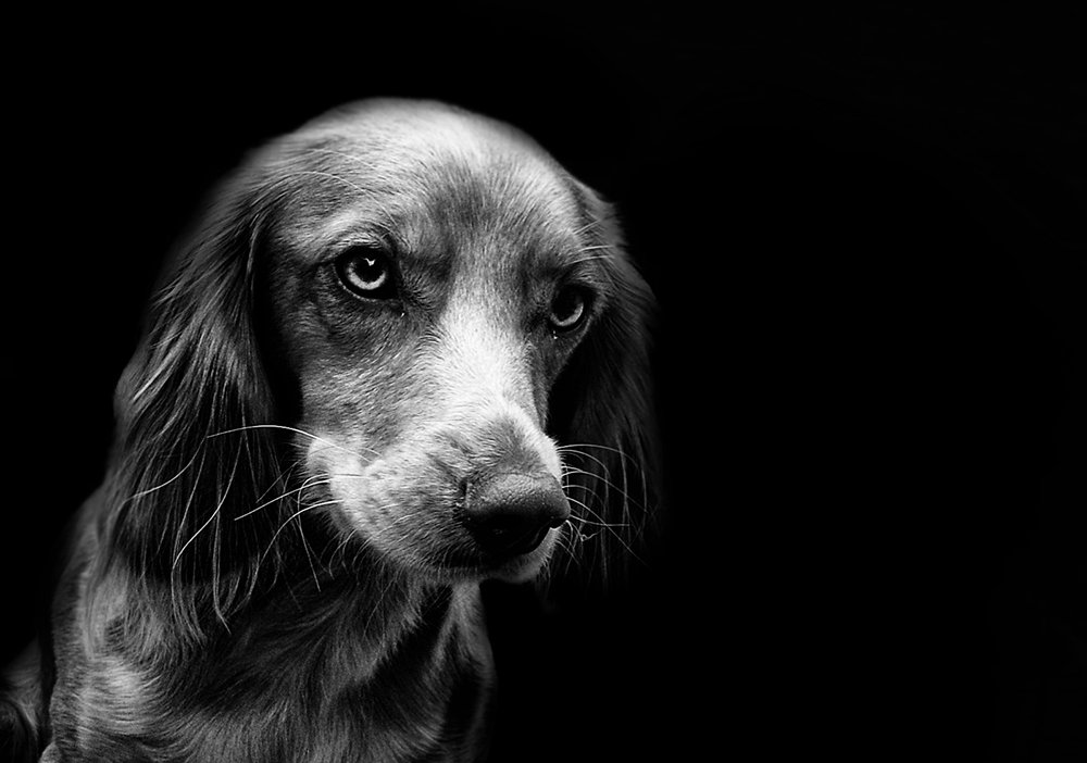 Фотография автора Erfan Rabiei dastjerdi