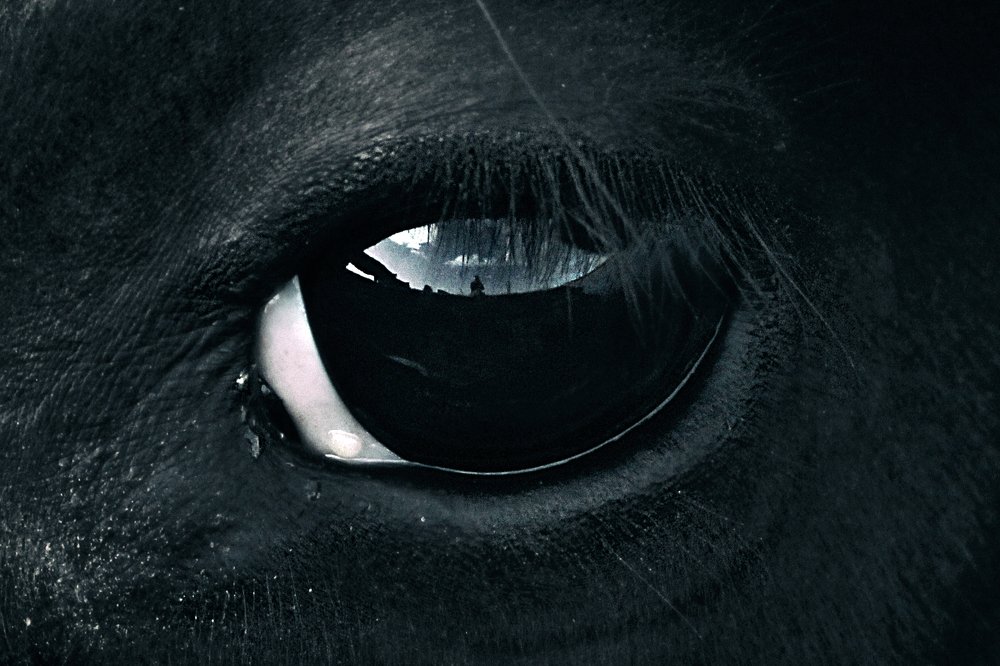 Photograph by Anna Suchcicka