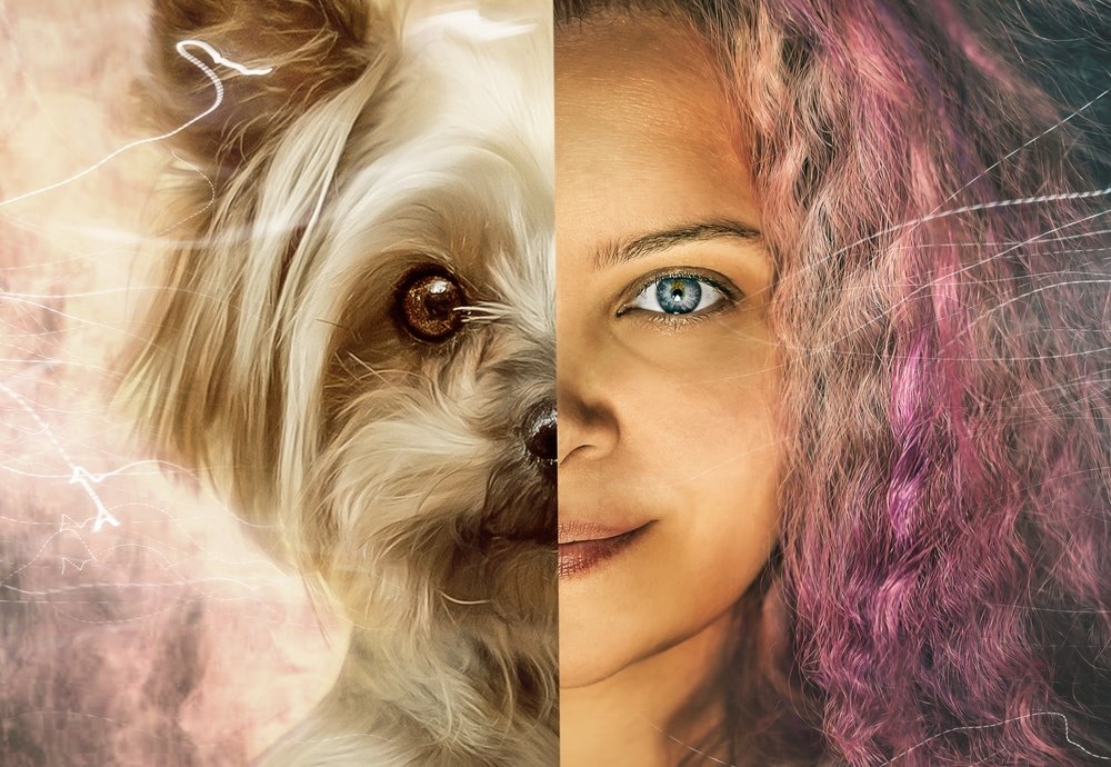 Photograph by Ольга Овчинникова