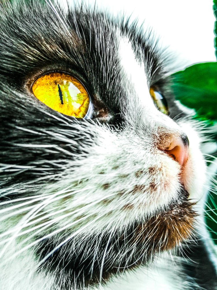 Photograph by Евгений Калагаев