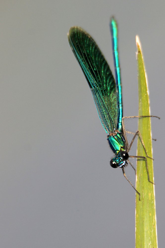 Photograph by Anna Suchcicka