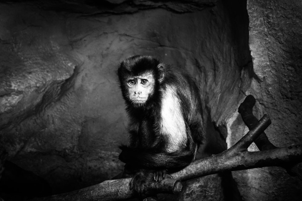 Фотография автора Дмитрий Вербицкий