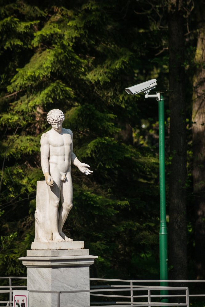 Фотография автора Дмитрий Вербицкий