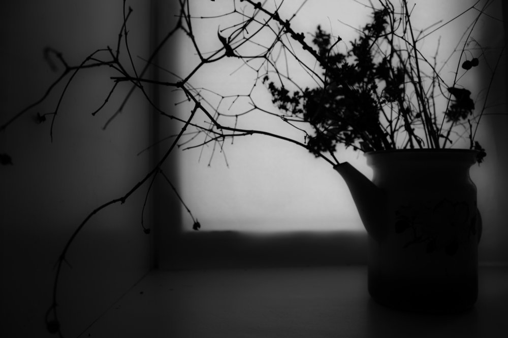 Photograph by Евгения Лацис