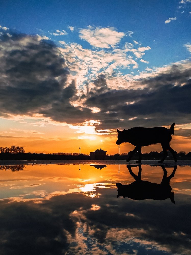 Photograph by Милородова Наталья