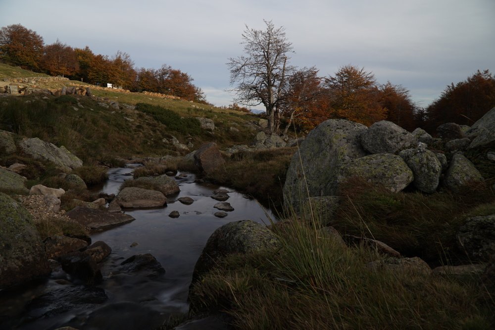 Photograph by Vasilis Davaris