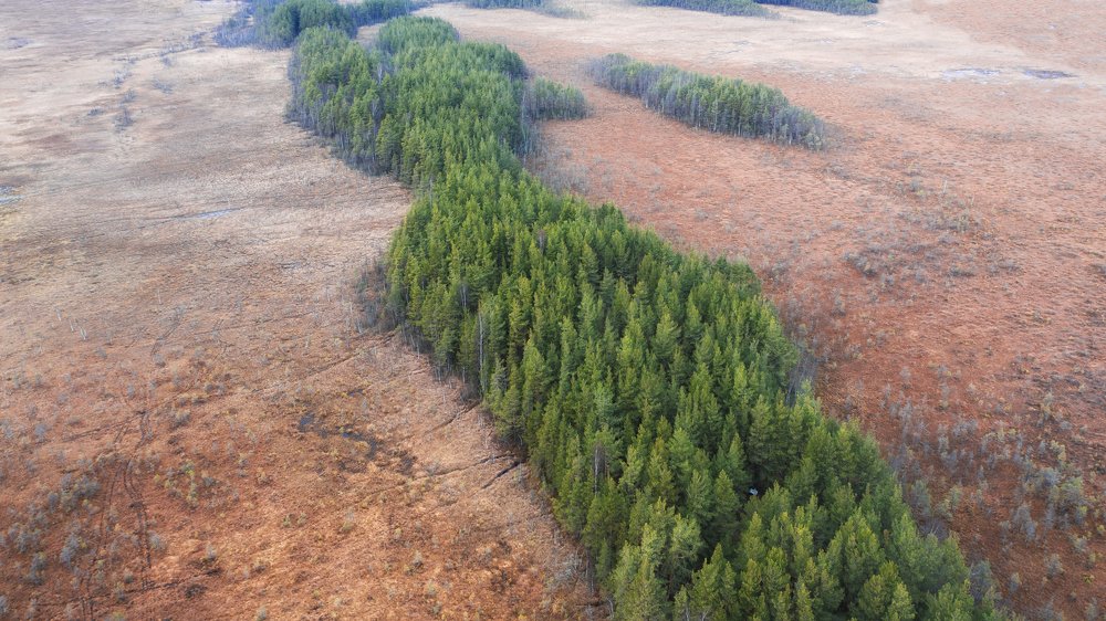 Photograph by Светлана Краюшкина