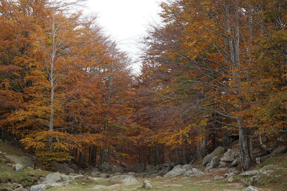 Photograph by Vasilis Davaris