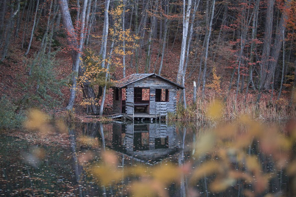 Photograph by Vladimir Soroka