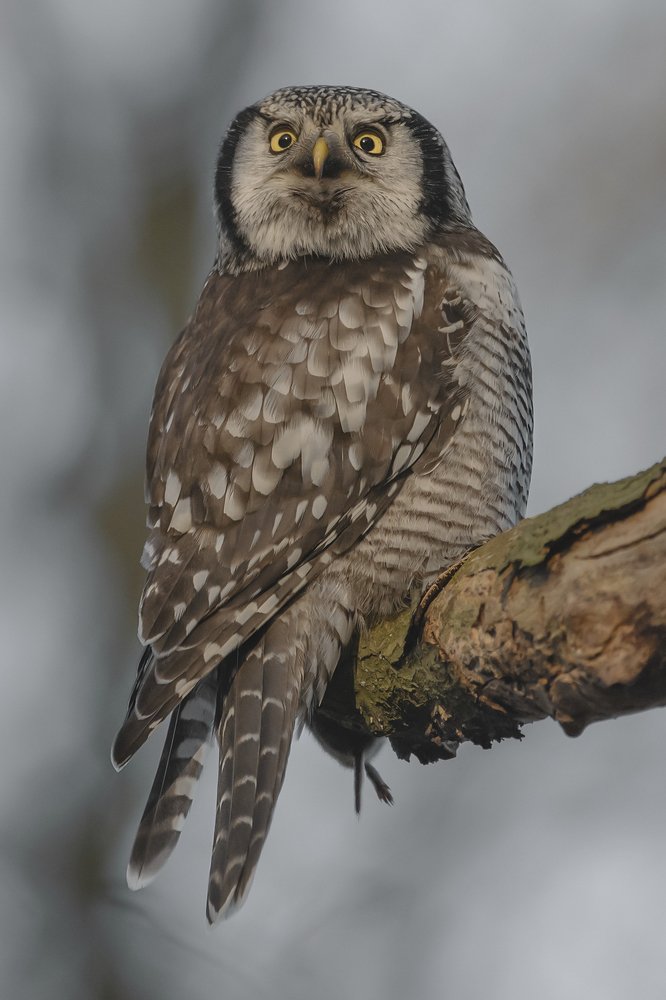 Photograph by Ernestas Balcikonis