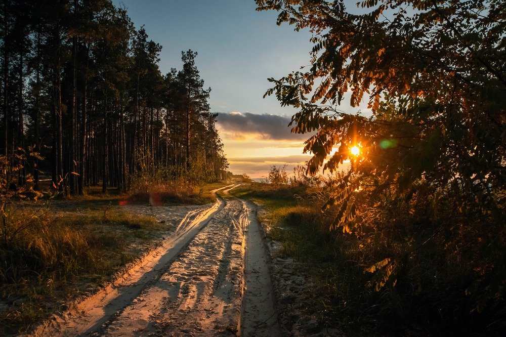 Photograph by Anke Sark