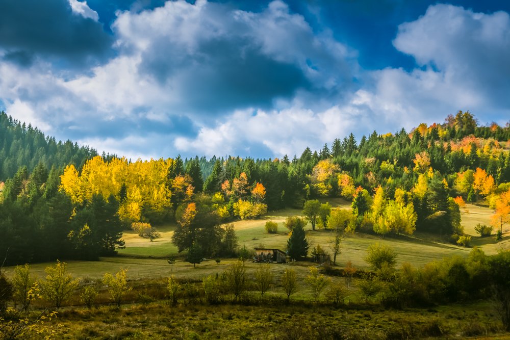 Photograph by Goran Matejin