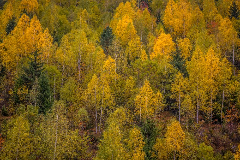 Photograph by Goran Matejin